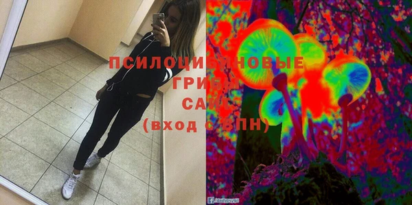 мет Ладушкин