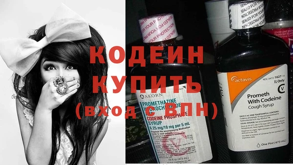 гашик Кулебаки