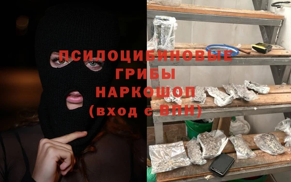 твердый Володарск