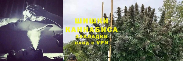 твердый Володарск